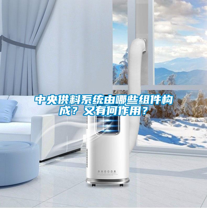 中央供料系統(tǒng)由哪些組件構(gòu)成?又有何作用?