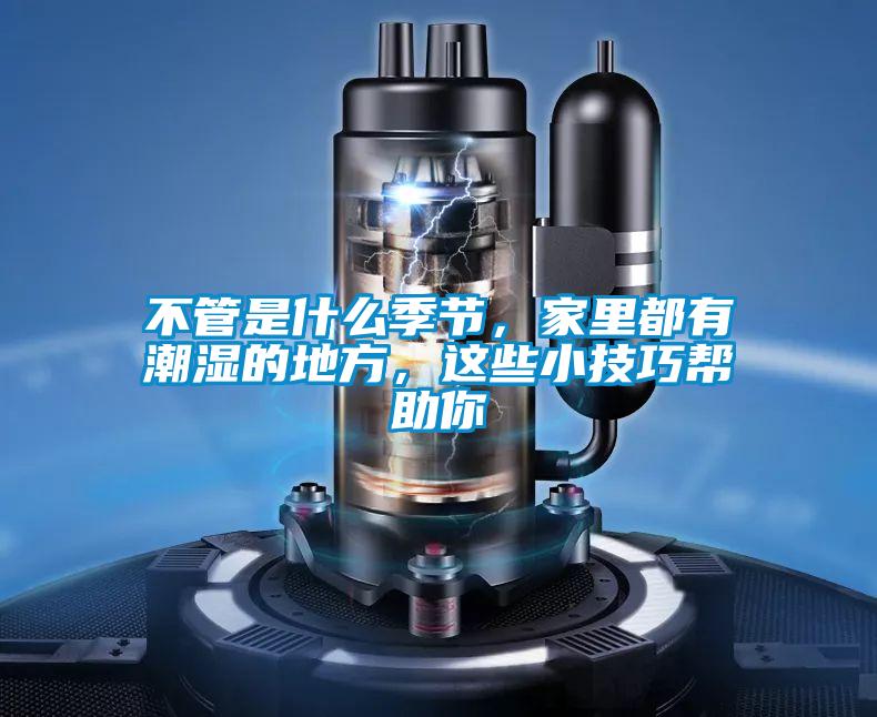 不管是什么季節,家里都有潮濕的地方,這些小技巧幫助你