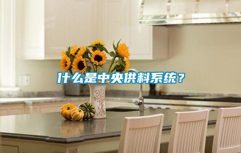 什么是中央供料系統(tǒng)?
