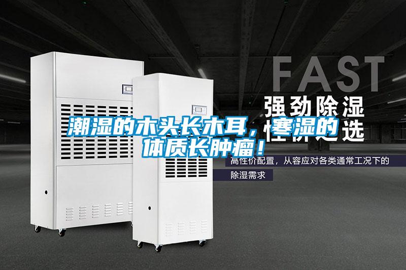 潮濕的木頭長木耳，寒濕的體質長腫瘤！