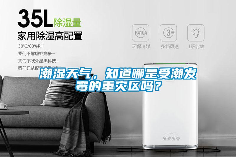 潮濕天氣,知道哪是受潮發(fā)霉的重災(zāi)區(qū)嗎?