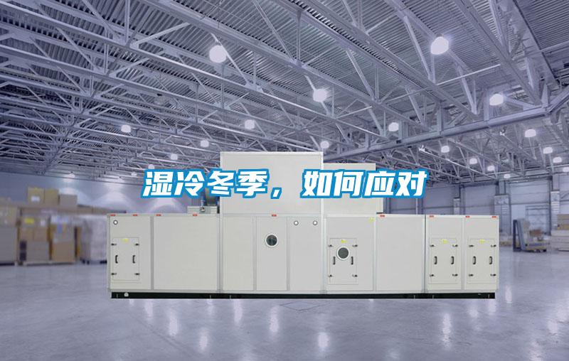 濕冷冬季，如何應對