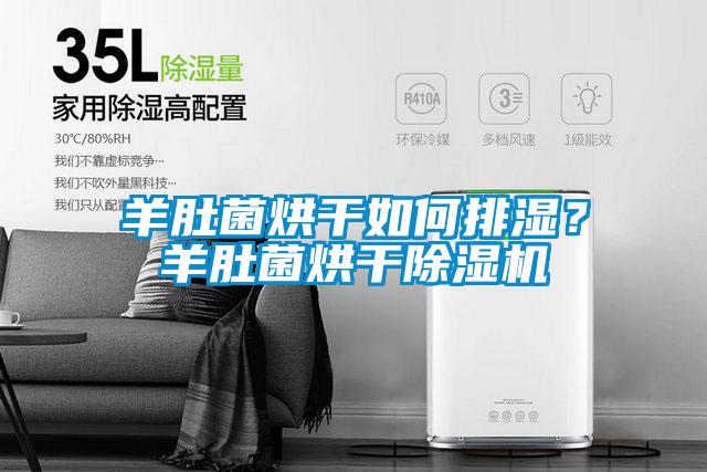 羊肚菌烘干如何排濕?羊肚菌烘干除濕機