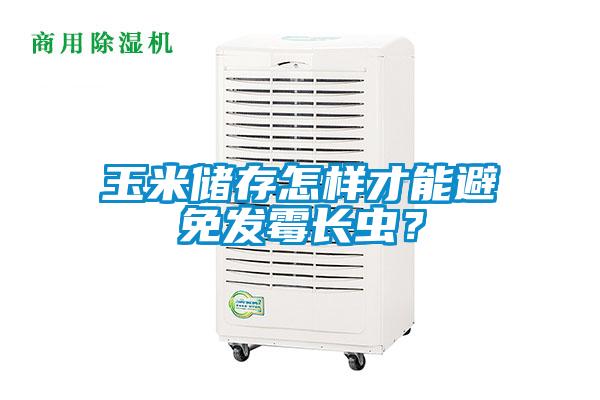 玉米儲(chǔ)存怎樣才能避免發(fā)霉長(zhǎng)蟲？