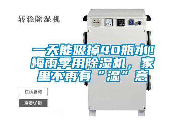 一天能吸掉40瓶水！梅雨季用除濕機，家里不再有“濕”意