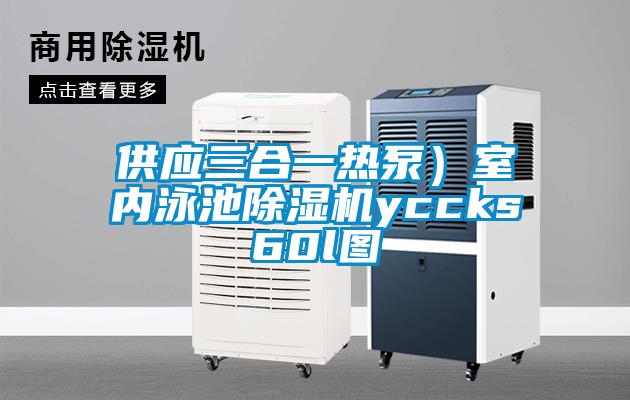 供應(yīng)三合一熱泵)室內(nèi)泳池除濕機(jī)yccks60l圖