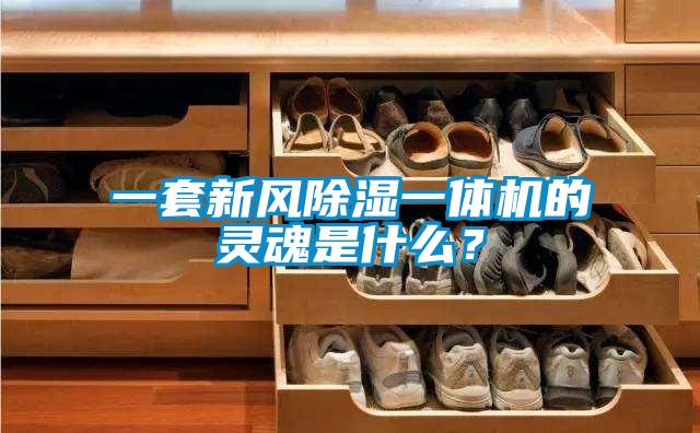 一套新風除濕一體機的靈魂是什么?