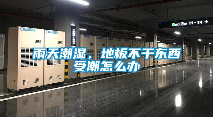 雨天潮濕,地板不干東西受潮怎么辦