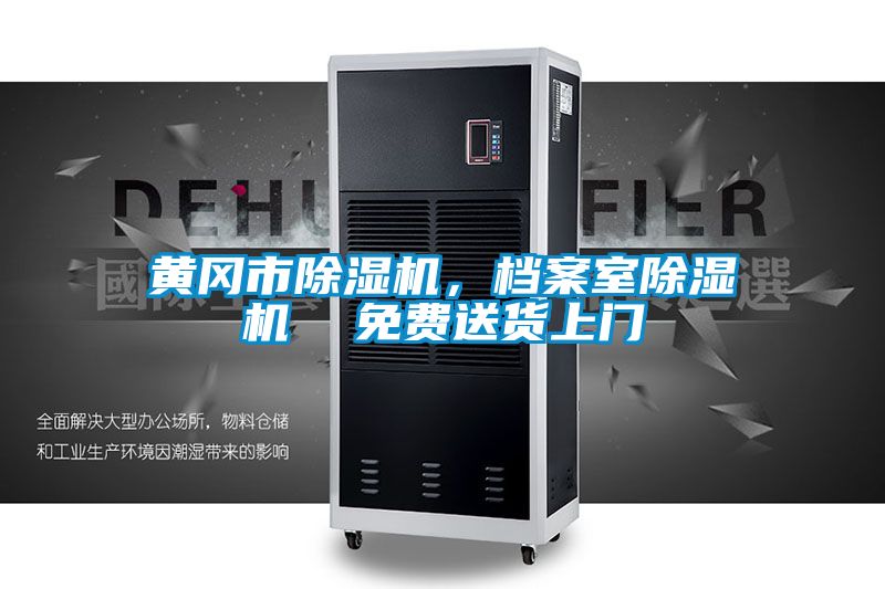 黃岡市除濕機,檔案室除濕機 免費送貨上門