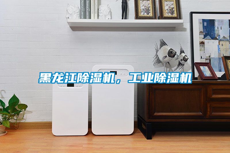 黑龍江除濕機(jī),工業(yè)除濕機(jī)